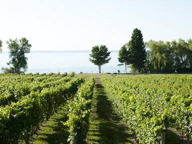 wine route kingston ontario
